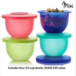 Multiple colors impression mini bowls 4pc